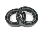 Oil Seals for Rieju RS1