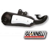 Giannelli Go Aprilia SR Piaggio engine